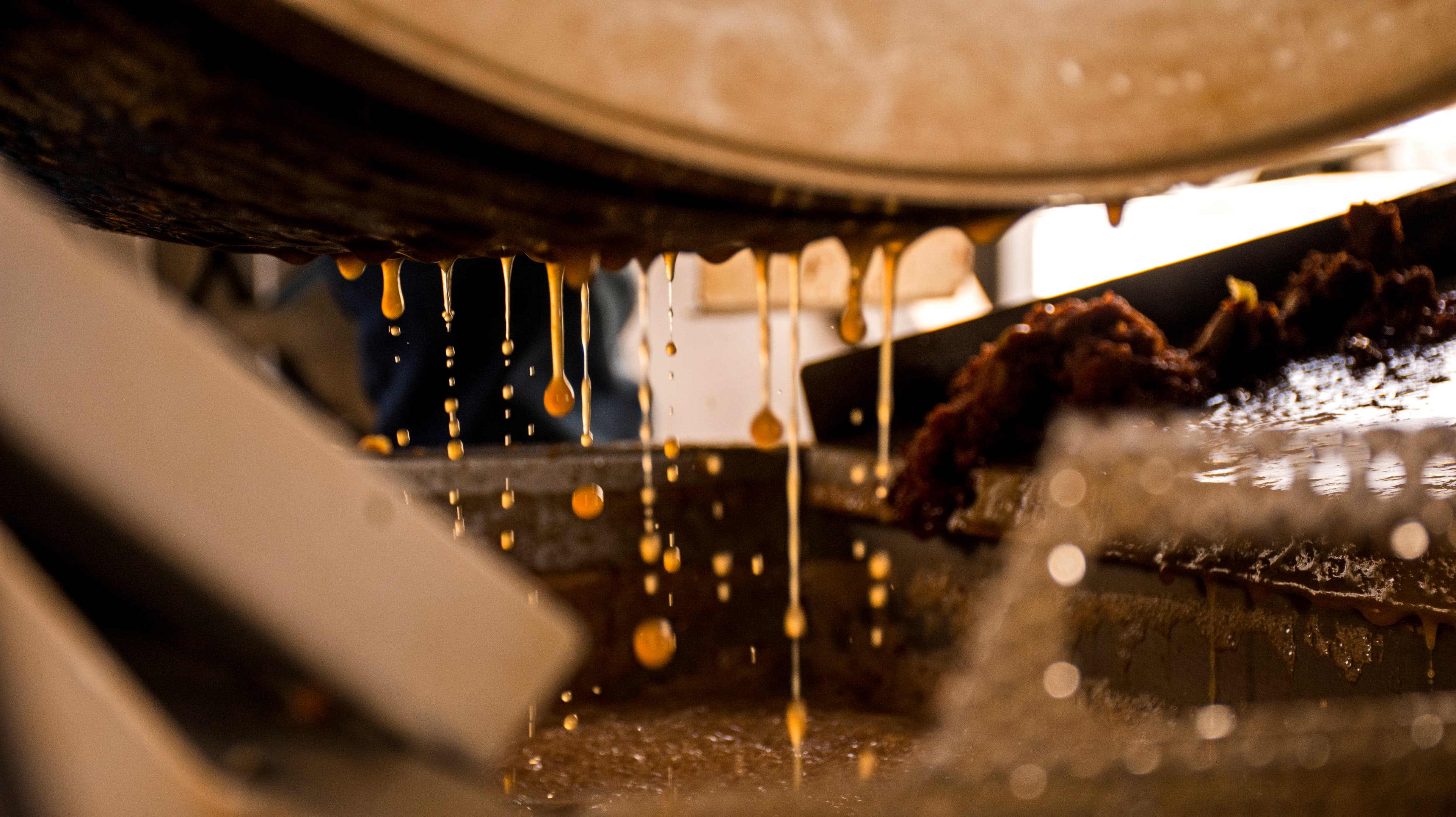 Willamette Week – The Best Five New Ciders Made in Oregon This Year