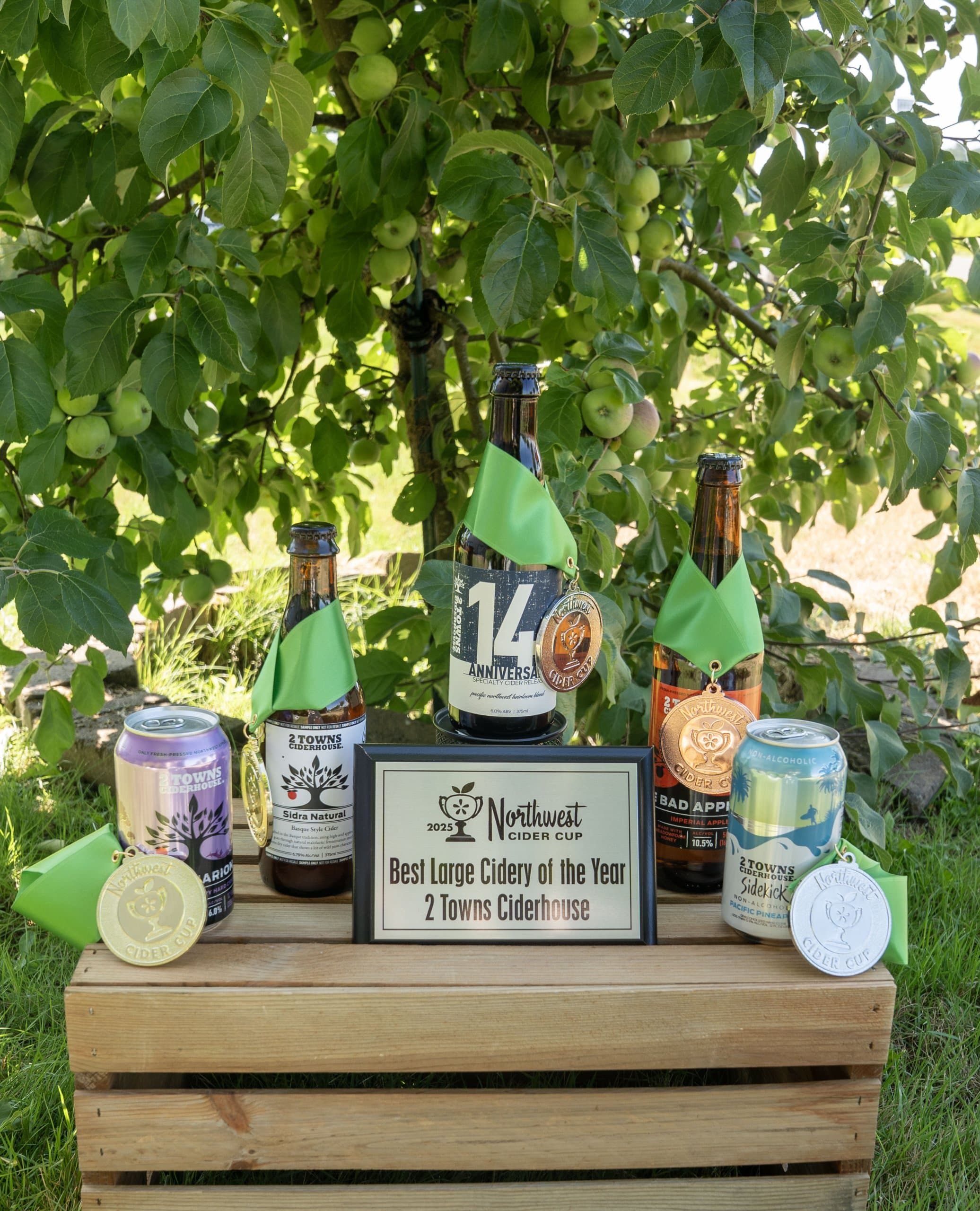 2 Towns Ciderhouse Named Large Cidery of the Year at 2025 Northwest Cider Cup